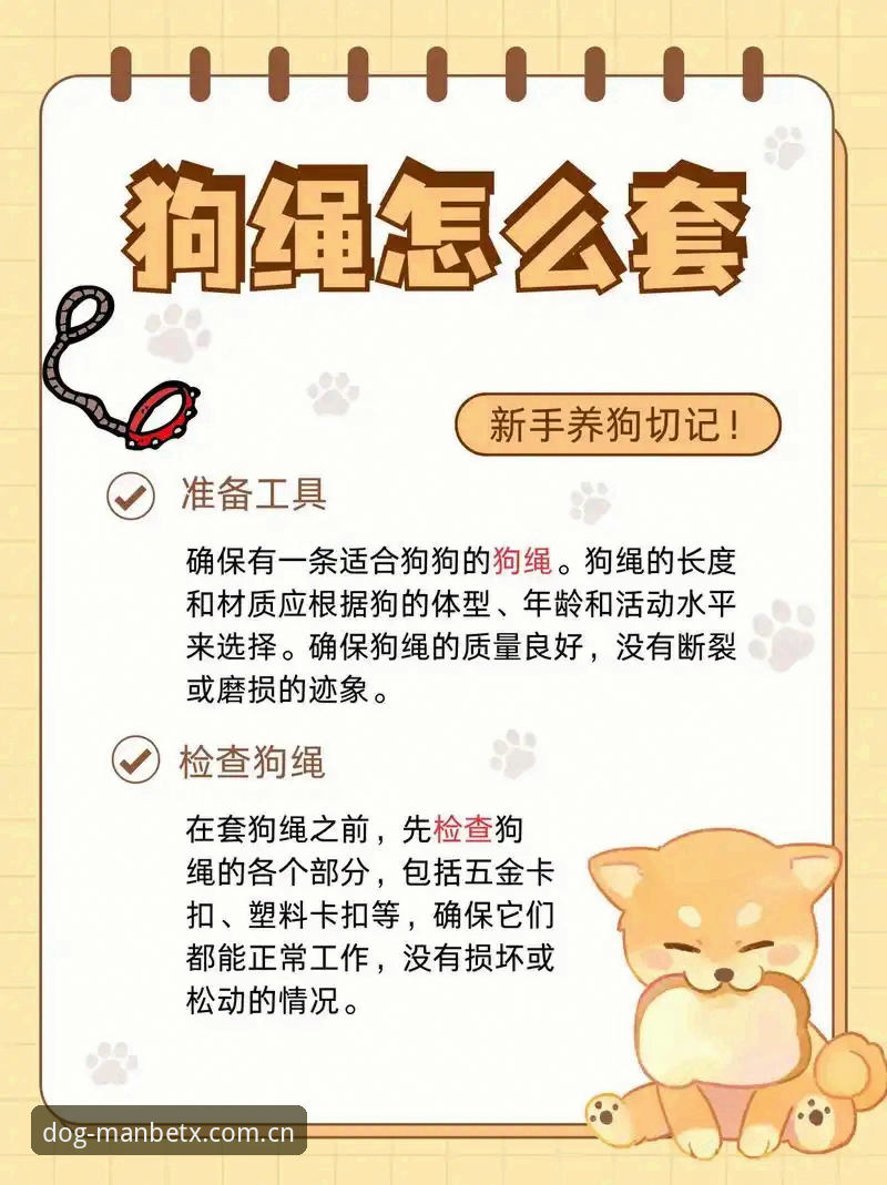狗万怎么玩使用技巧详解：从入门到精通的实用指南