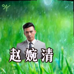 赵婉清